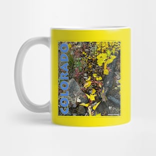 Colorado Aspen Anew Mug